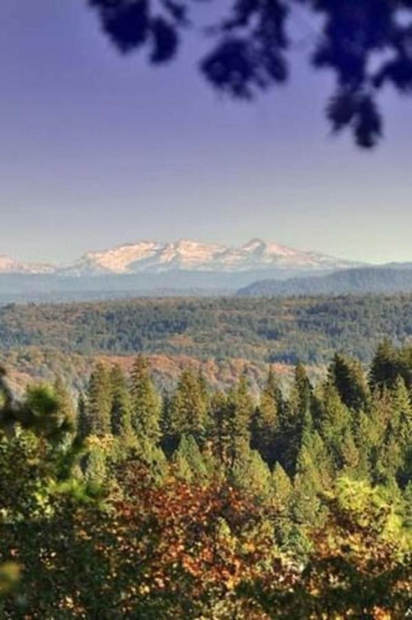 Sierra Sun Cloud Inn - Colfax (Adults Only) Экстерьер фото